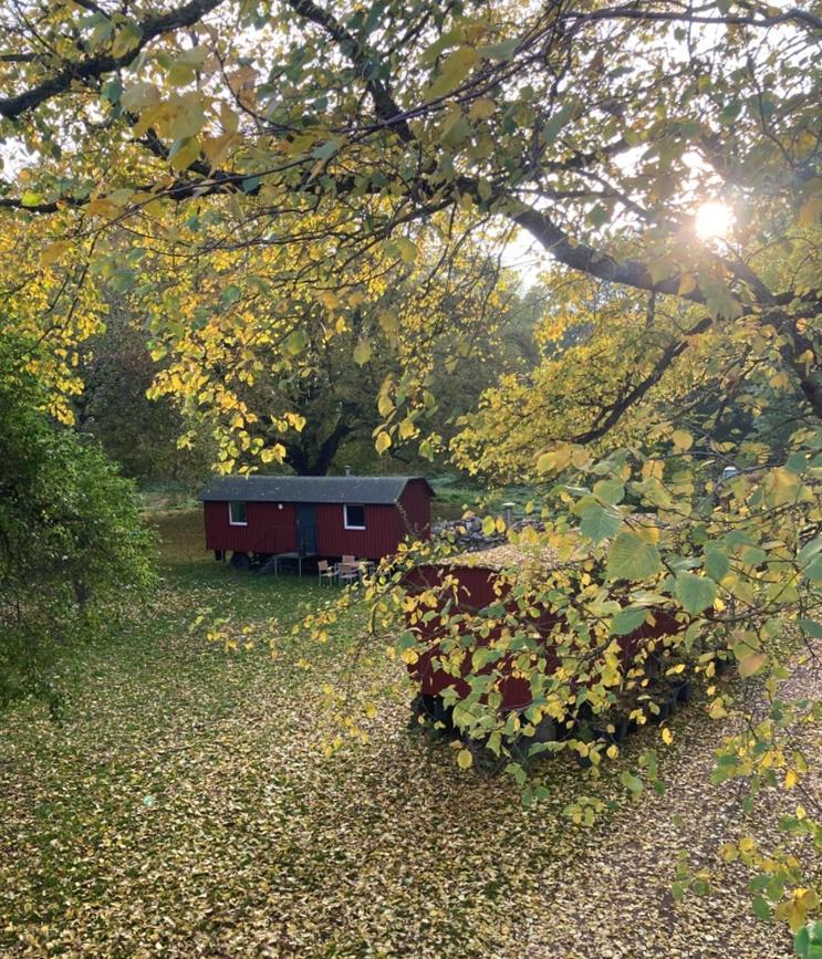 Schaeferwagen Auf Dem Biogut-Saalkow Hotel Gustow  ภายนอก รูปภาพ